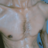 Musal_sandh