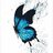 Gorgeous Butterfly