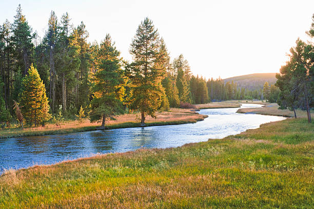 istockphoto-154931594-612x612 istockphoto-154931594-612x612