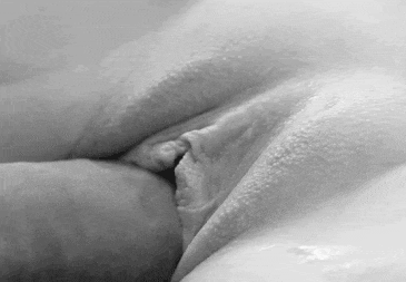 IMG 6725